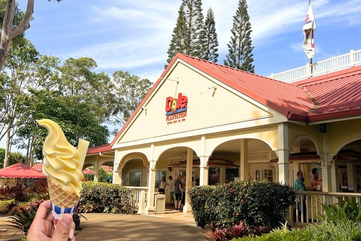 Dole Pineapple Plantation and Ko Hana Distillery with Rum Tasting - Photo 1 of 25